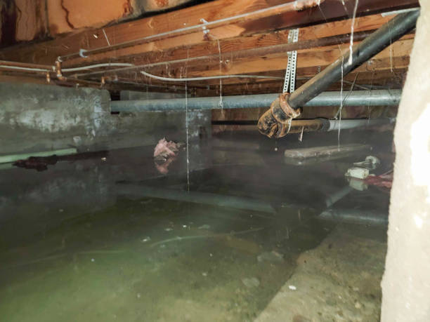 Best Wood Floor Water Damage Restoration in Hilmar Irwin, CA